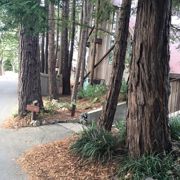 Customer Reviews! - Picture 8 of 9